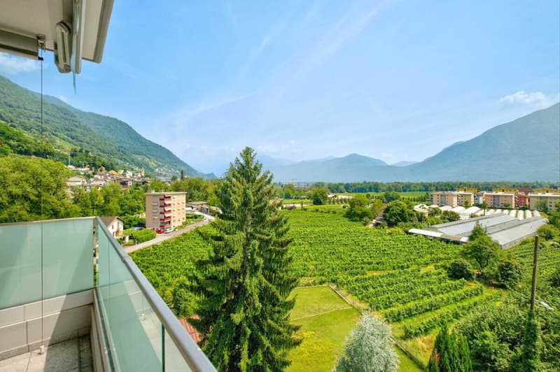 Gepflegte 3.5 Zimmer-Ferienwohnung am Lago Maggiore in Tenero (18)