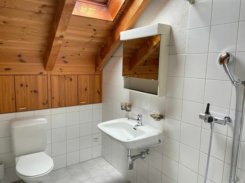 Charmante und helle 4.5-Zimmer-Dachwohnung an ruhiger Lage im Werdenberg (5)