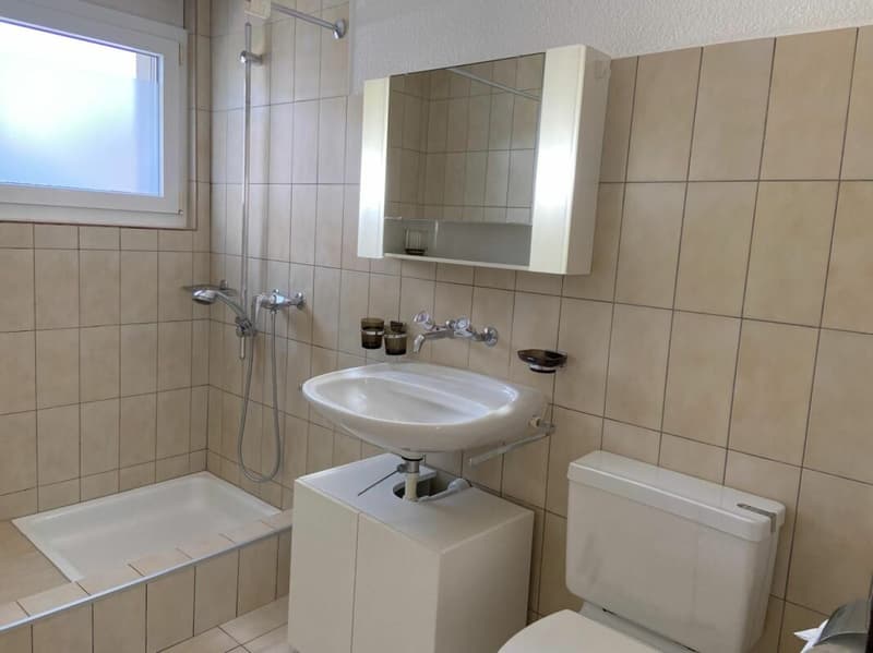 4.5-Zimmerwohnung an ruhiger und sonniger Lage (8)
