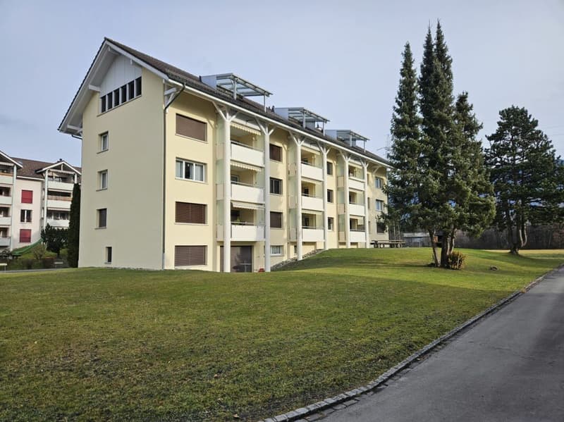 4.5-Zimmerwohnung an ruhiger und sonniger Lage (1)
