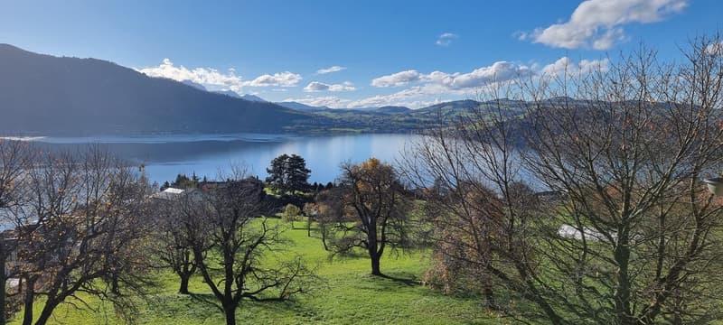 A landscape with a large body of water, grassy area, trees, distant mountain range, and a blue sky with clouds.