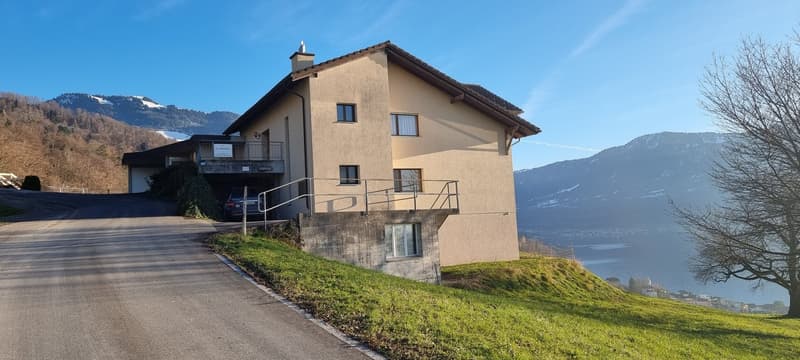 detached 3 story house with raised ground floor, green landscape, driveway, lake and mountain view