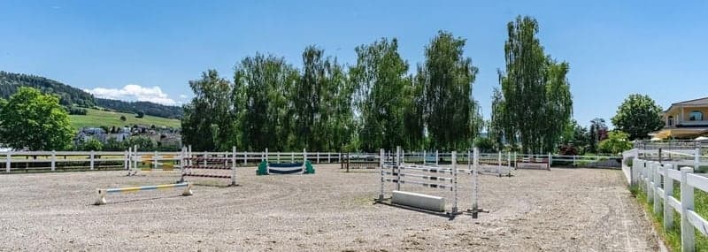 Zu Verkaufen Exklusive Reitsportanlage für Professionelle Reiter. (10)