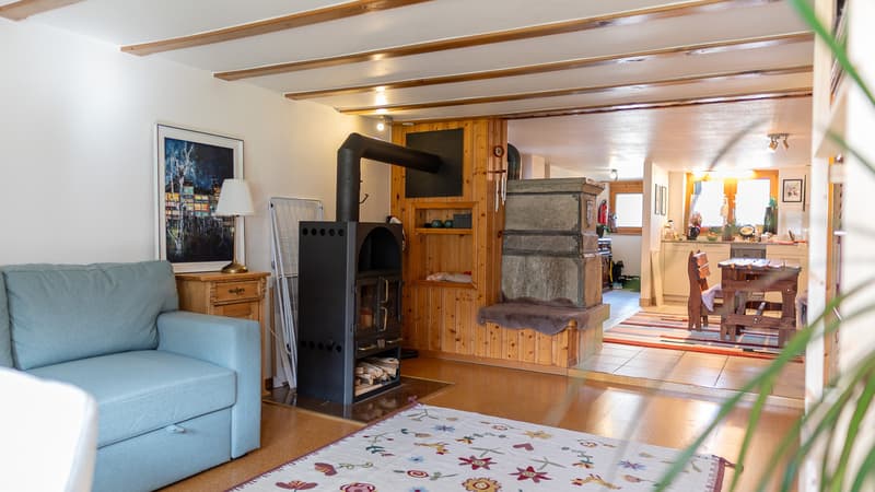 Appartement charmant dans une maison valaisanne rustique au-dessus de Visp (3)