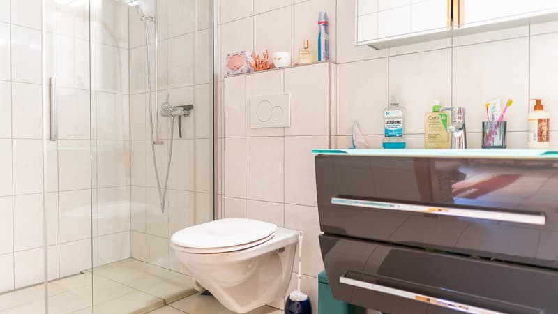 Appartement charmant dans une maison valaisanne rustique au-dessus de Visp (12)