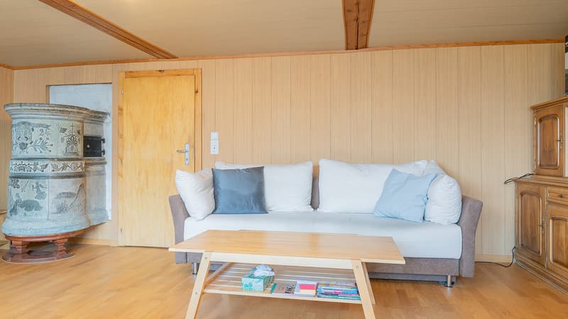 Comfortable 5-room apartment with spectacular views (5)
