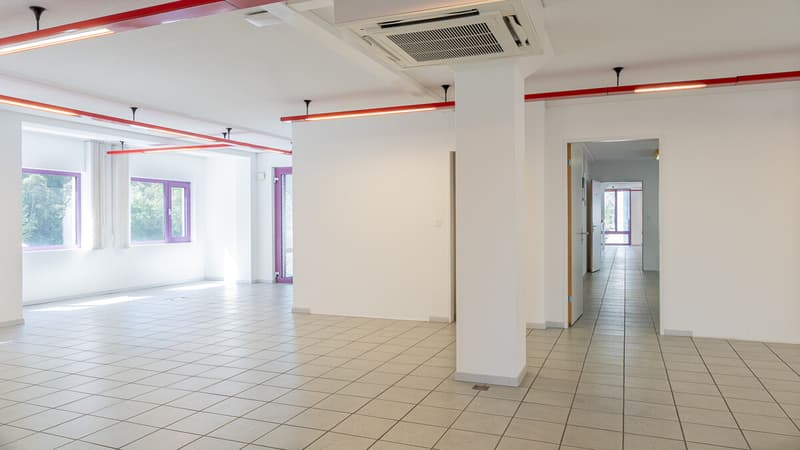 Espace de bureau divisible et atelier dans un emplacement idéal à Visp (8)