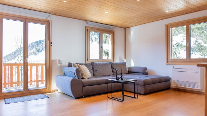 Lots of living space, sun, and views in Blitzingen (2)