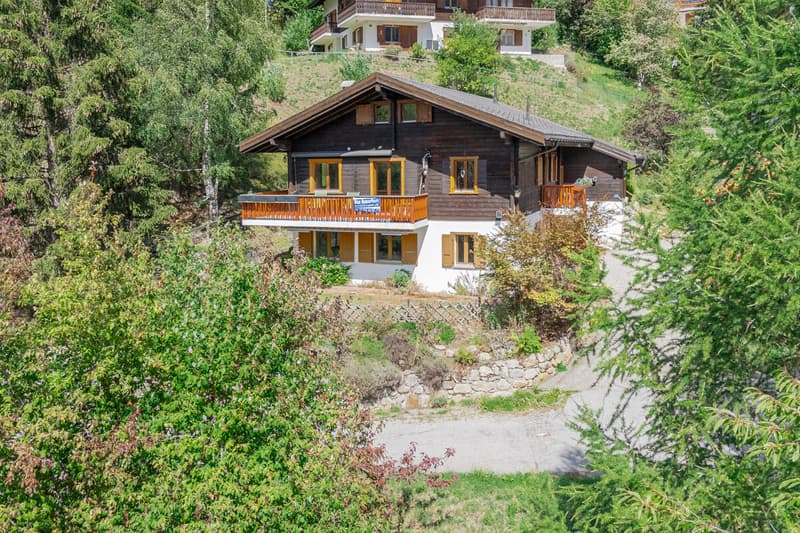 Viel Wohnraum, Sonne und Aussicht in Blitzingen (1)