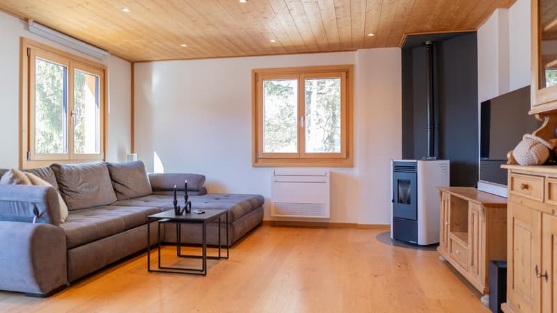 Lots of living space, sun, and views in Blitzingen (3)