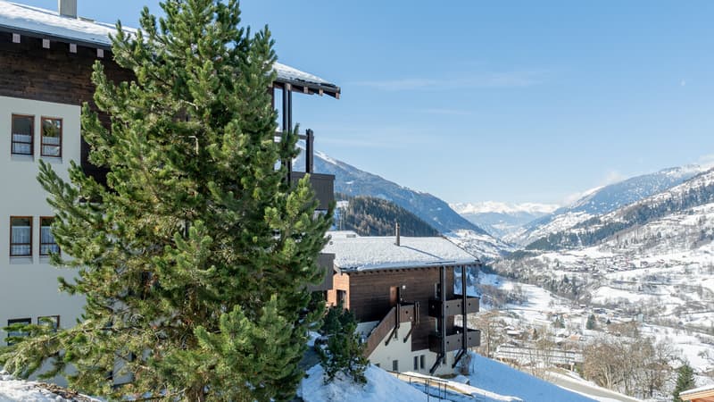 Cozy 3.5-room apartment with a wonderful view of the Valais mountains (1)