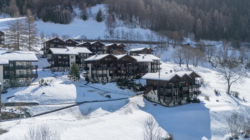 Cozy 3.5-room apartment with a wonderful view of the Valais mountains (8)