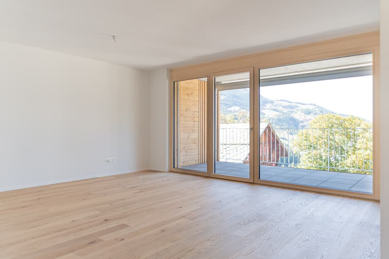5.5-Zimmerwohnung zur Miete (Erstbezug): Neubau Hasol im Zentrum von B (13)