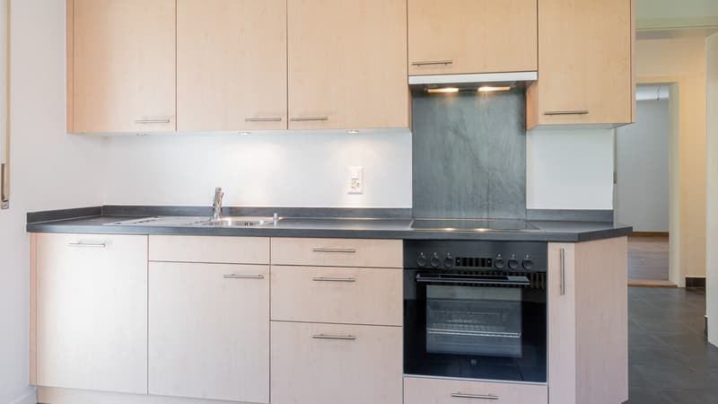 Appartement de 4,5 pièces avec vue panoramique sur le Schlossgarten de Brig (6)