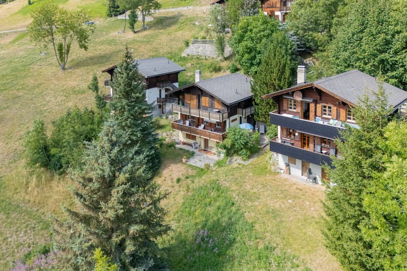 3.5-Zimmerwohnung im Chalet Aux Etoiles in Bellwald (2)