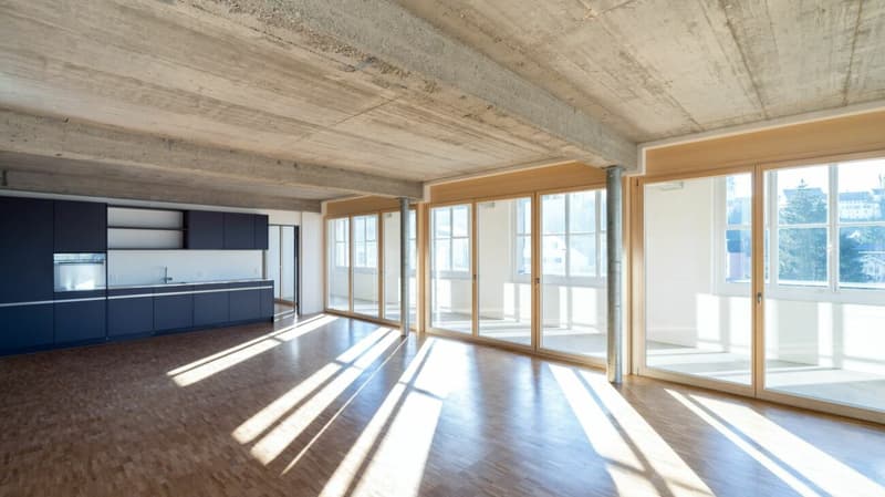 146m2 Loft in the Bruggmühle (3)