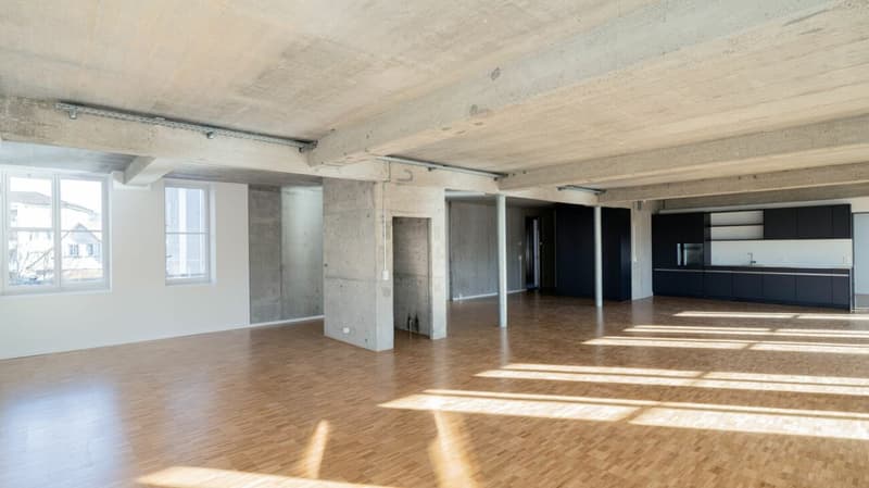 146m2 Loft in the Bruggmühle (5)
