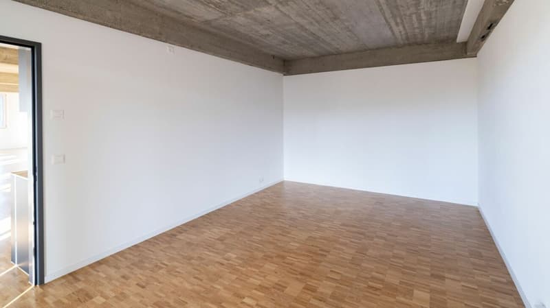 146m2 Loft in the Bruggmühle (7)