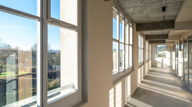 146m2 Loft in the Bruggmühle (6)