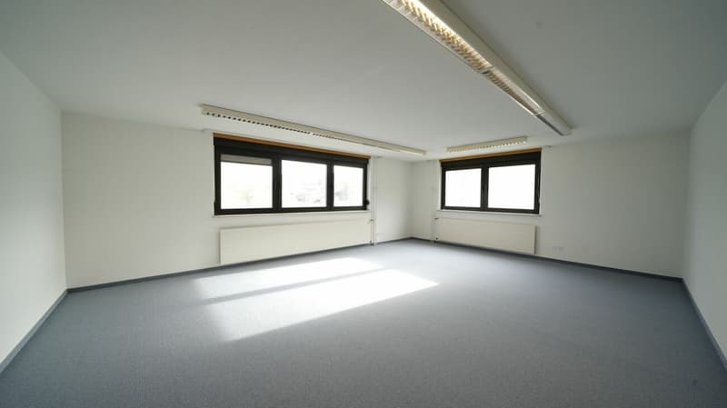 Preiswerter Büro-/Lager-/Hobbyraum (3)