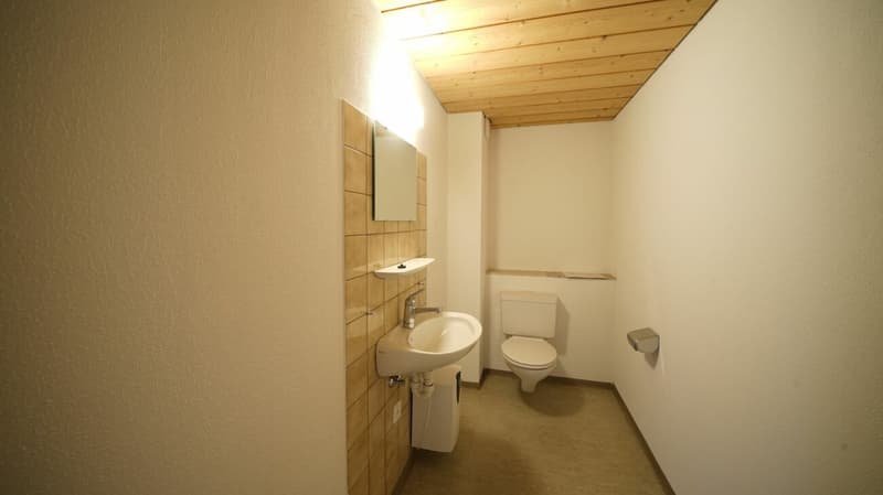 Preiswerter Büro-/Lager-/Hobbyraum (6)