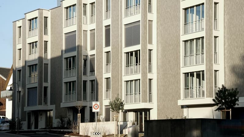 Places de stationnement dans l'ensemble immobilier "Schweizer" (2)