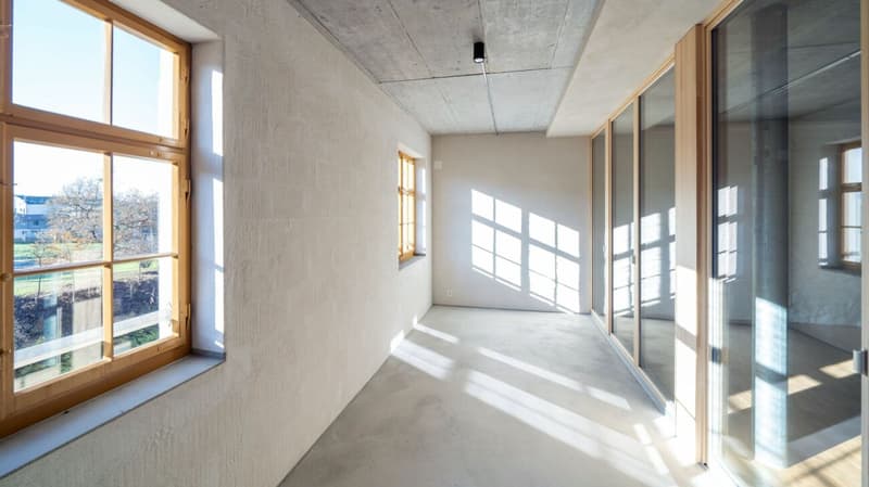 100m2 Loft in der Bruggmühle (1)