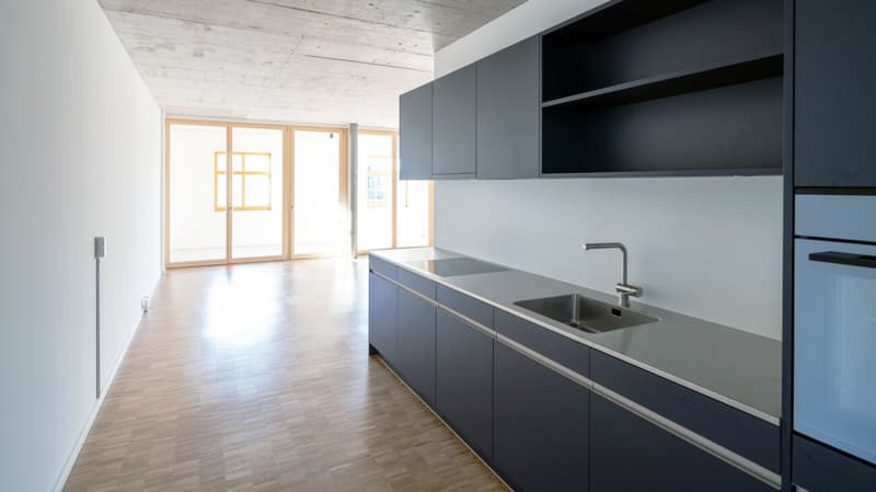 100m2 Loft in der Bruggmühle (3)