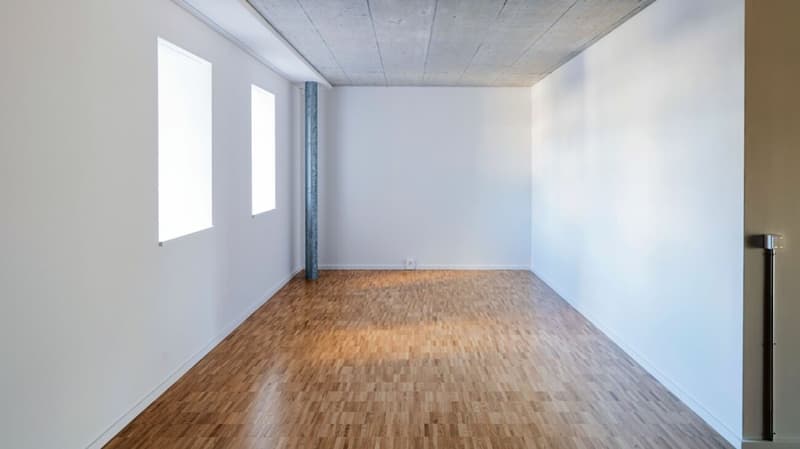 100m2 Loft in der Bruggmühle (4)
