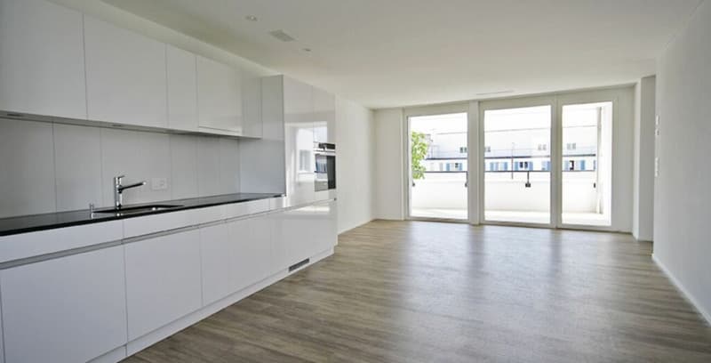 Vivere sul boulevard - appartamento di città elegante (8)