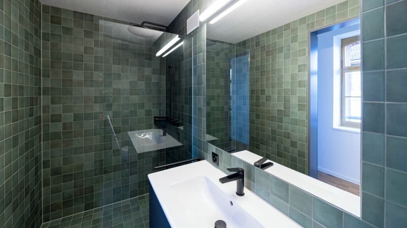 Überhohe 1.5-Zi-Loft (100m2) in der Bruggmühle Ost (5)