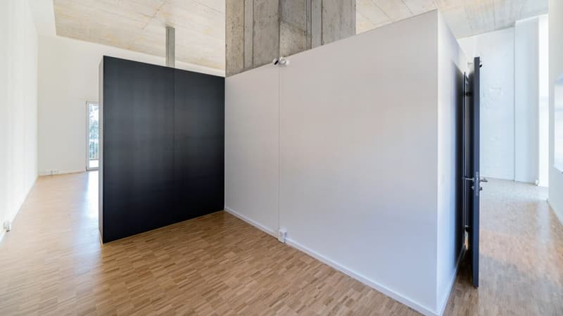 Überhohe 1.5-Zi-Loft (100m2) in der Bruggmühle Ost (3)