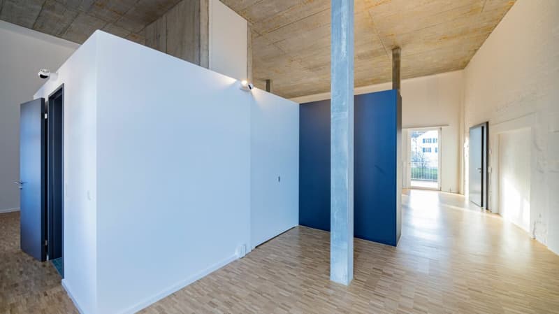 Überhohe Loft (100m2) in der Bruggmühle (2)