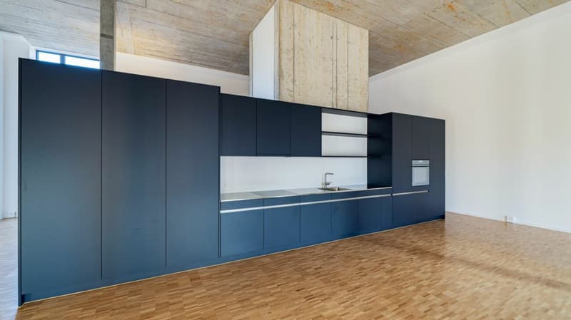 Überhohe Loft (100m2) in der Bruggmühle (1)