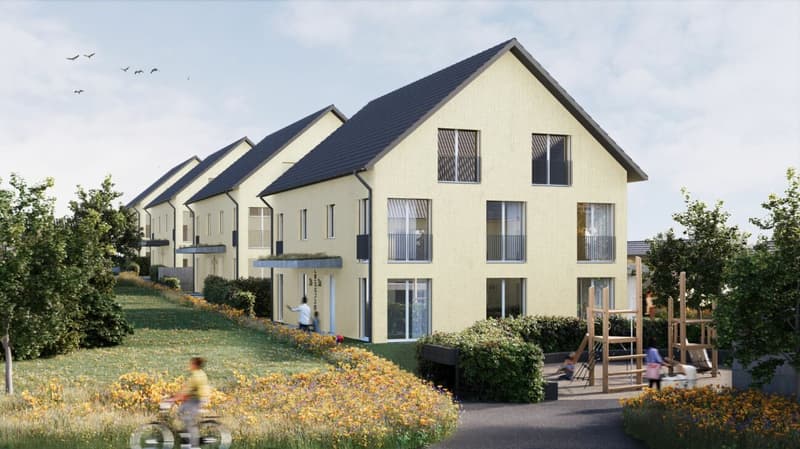 Doppeleinfamilienhaus «Struppler» (2)
