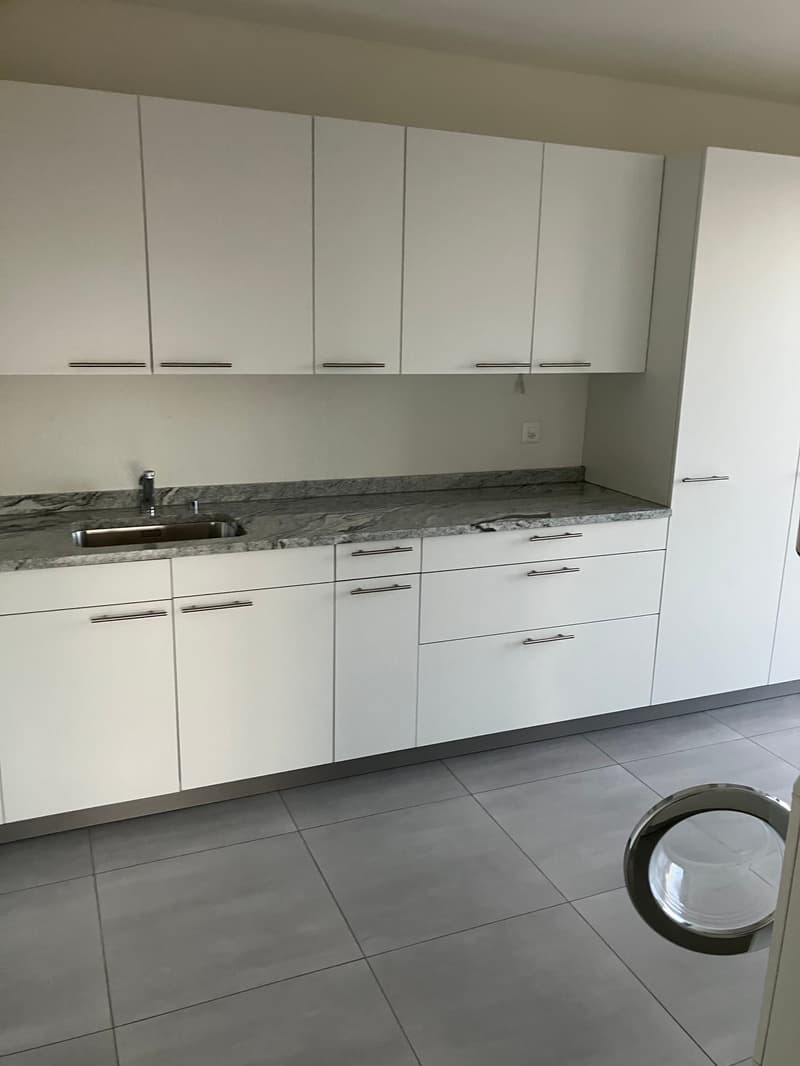 Grosszügige 7.5-Zimmer-Attikawohnung mit Panoramablick in Auw (3)