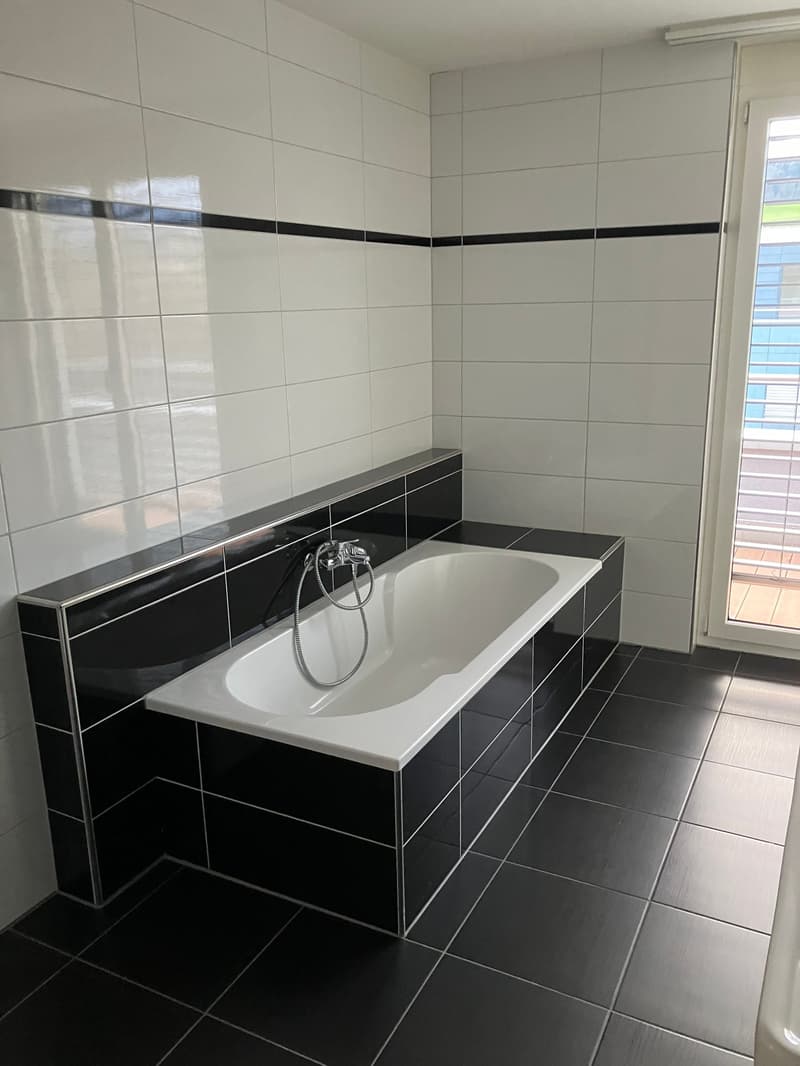 Grosszügige 7.5-Zimmer-Attikawohnung mit Panoramablick in Auw (11)
