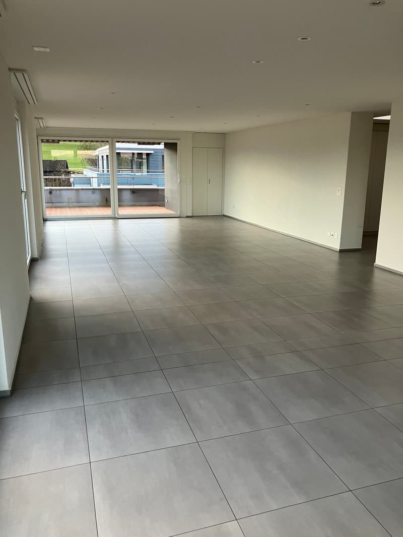 Grosszügige 7.5-Zimmer-Attikawohnung mit Panoramablick in Auw (4)