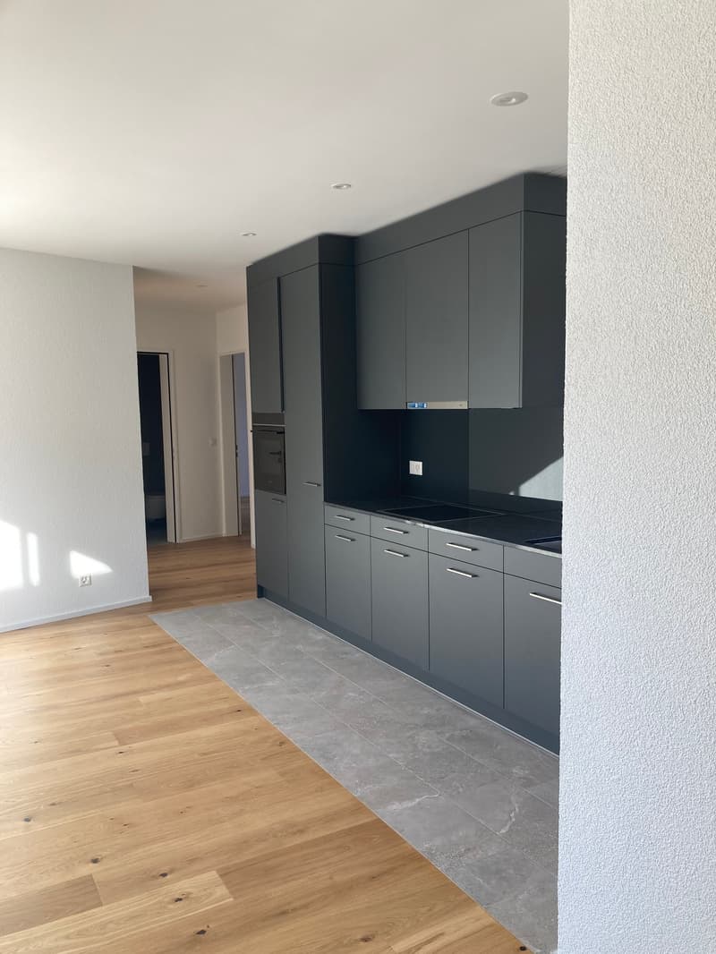 Moderne 3.5-Zimmer-Attika -Wohnung mit Bergblick in Waldenburg (4)