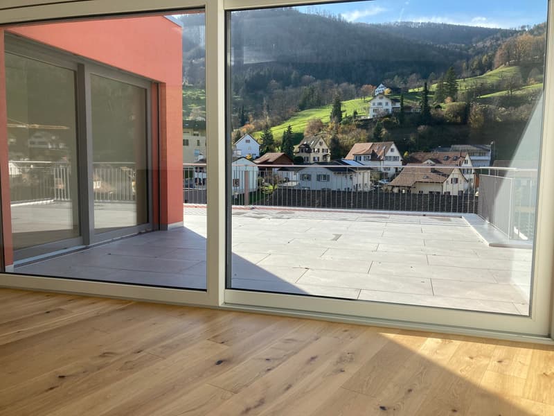 Moderne 3.5-Zimmer-Attika -Wohnung mit Bergblick in Waldenburg (6)