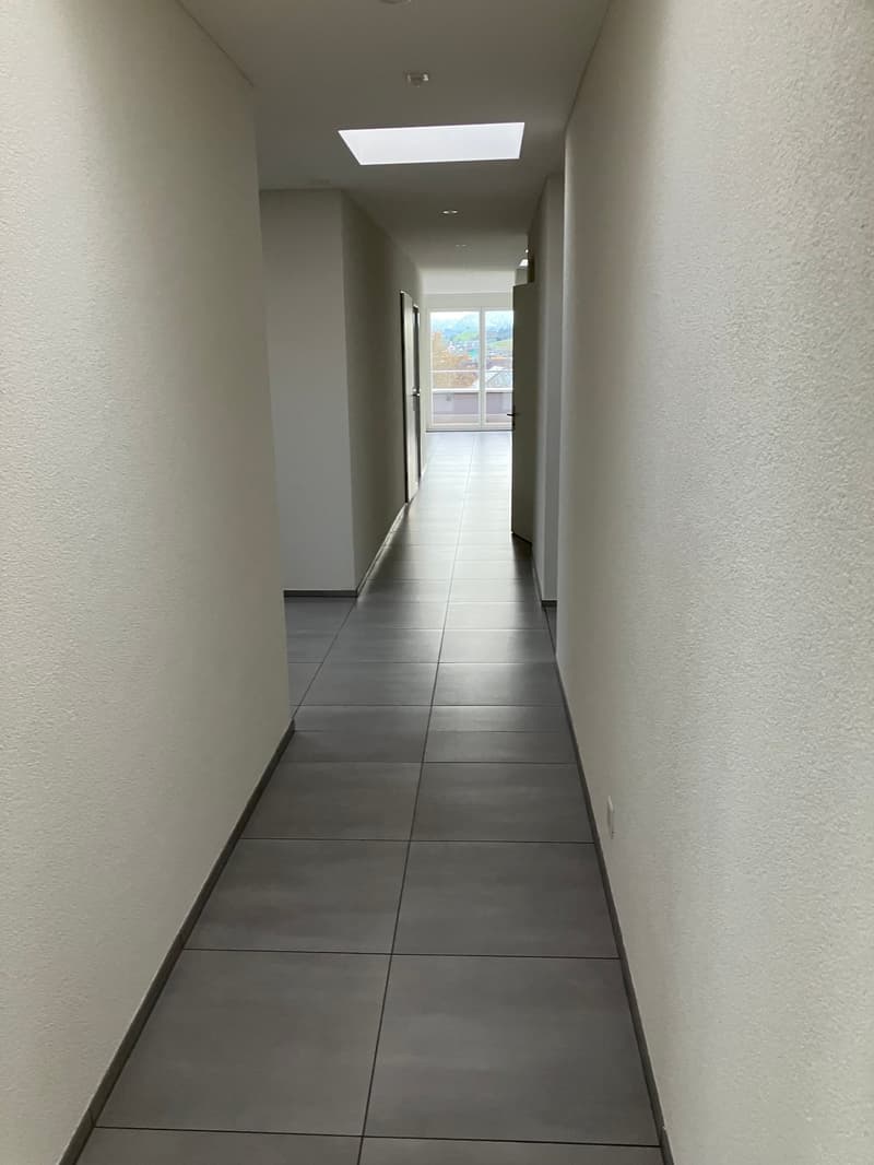 Grosszügige 7.5-Zimmer-Dachwohnung mit Panoramablick in Auw (5)