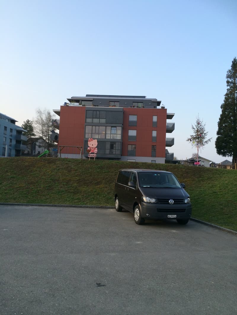 Grosszügige 7.5-Zimmer-Dachwohnung mit Panoramablick in Auw (2)