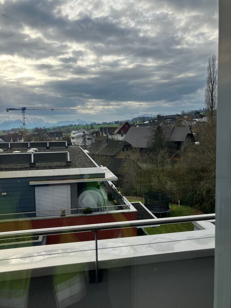 Grosszügige 7.5-Zimmer-Dachwohnung mit Panoramablick in Auw (6)