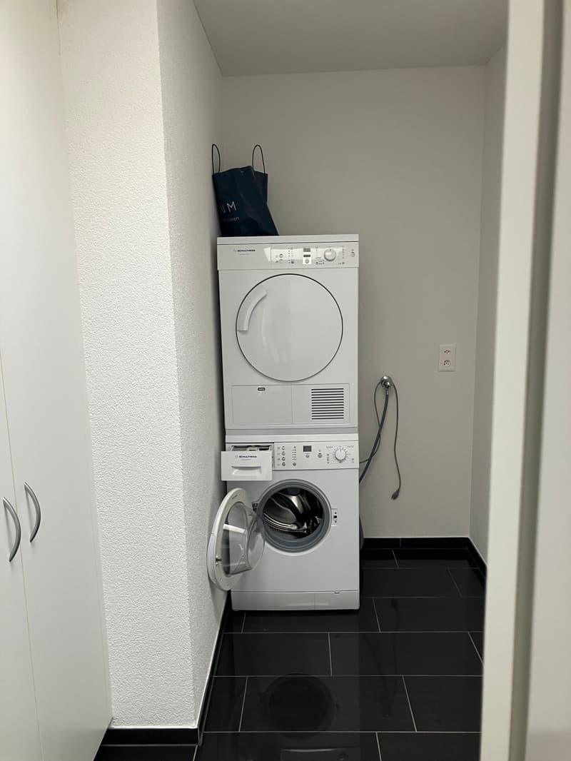 Grosszügige 7.5-Zimmer-Dachwohnung mit Panoramablick in Auw (7)