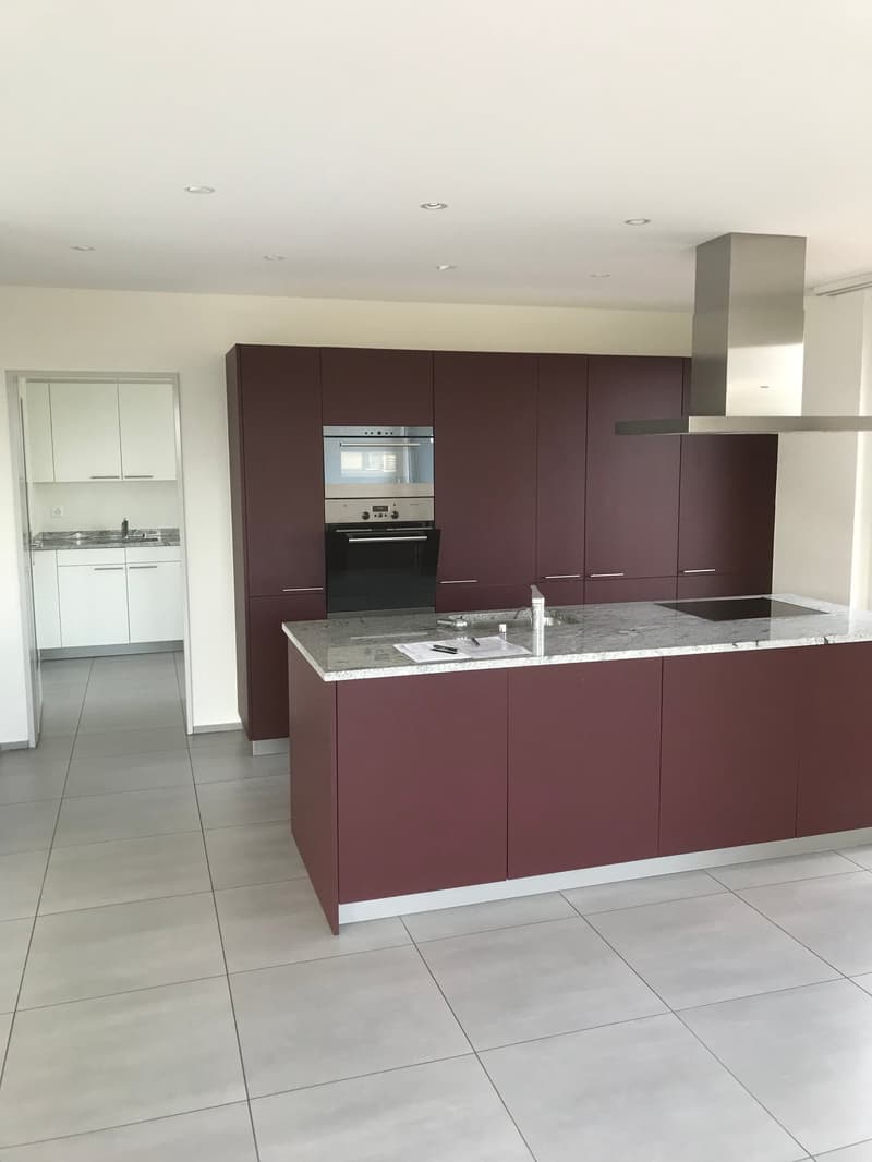 Grosszügige 7.5-Zimmer-Dachwohnung mit Panoramablick in Auw (1)
