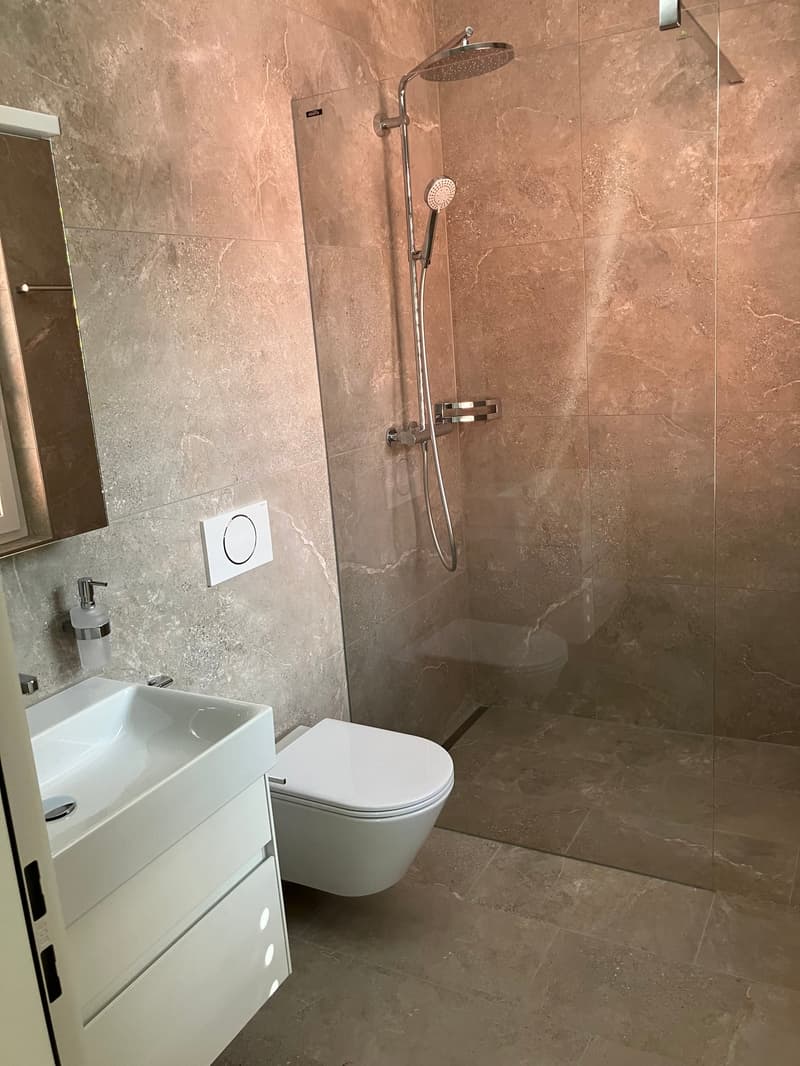 Letzte 2.5-Zimmer-Attika -Wohnung mit Bergblick in Waldenburg (3)