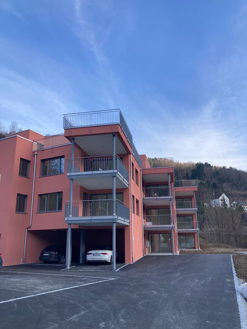 Letzte 2.5-Zimmer-Attika -Wohnung mit Bergblick in Waldenburg (1)