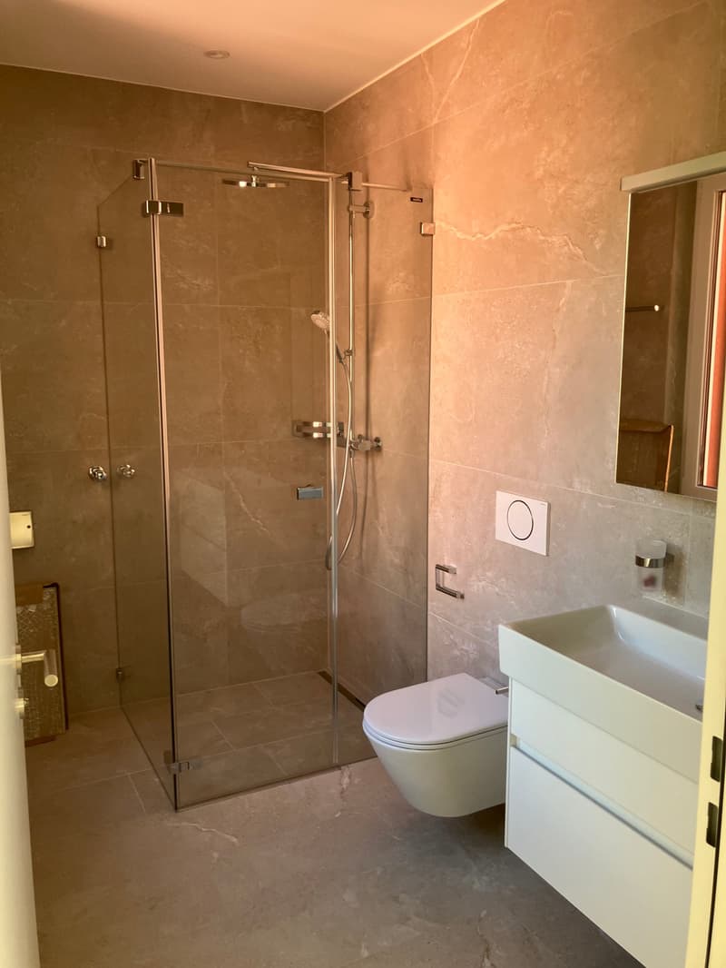 Letzte 2.5-Zimmer-Attika -Wohnung mit Bergblick in Waldenburg (4)