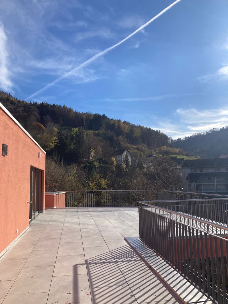 Letzte 2.5-Zimmer-Attika -Wohnung mit Bergblick in Waldenburg (5)