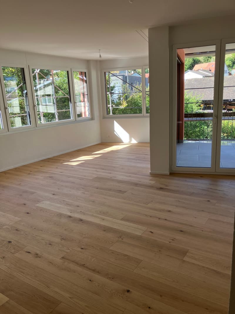 Moderne 5.5-Zimmer-Wohnung in Waldenburg zu vermieten (4)